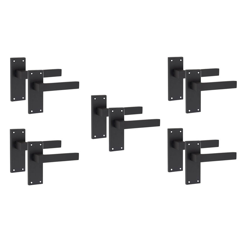 Latch Handle with Backplate