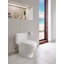 Nexus® 1.28 GPF Elongated One-Piece Toilet High Efficiency Flush (Seat Included)-48006145