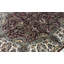 Sona One-of-a-Kind 8' X 10' Area Rug