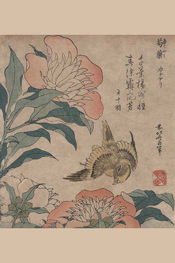 « peony & canary » par katsushika hokusai-impression d’art graphique, H 66 po x l 44 po