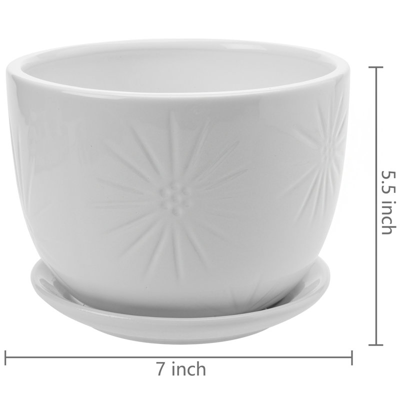 Pot à fleur d'intérieur en céramique 7 pouces Edolie, Blanc