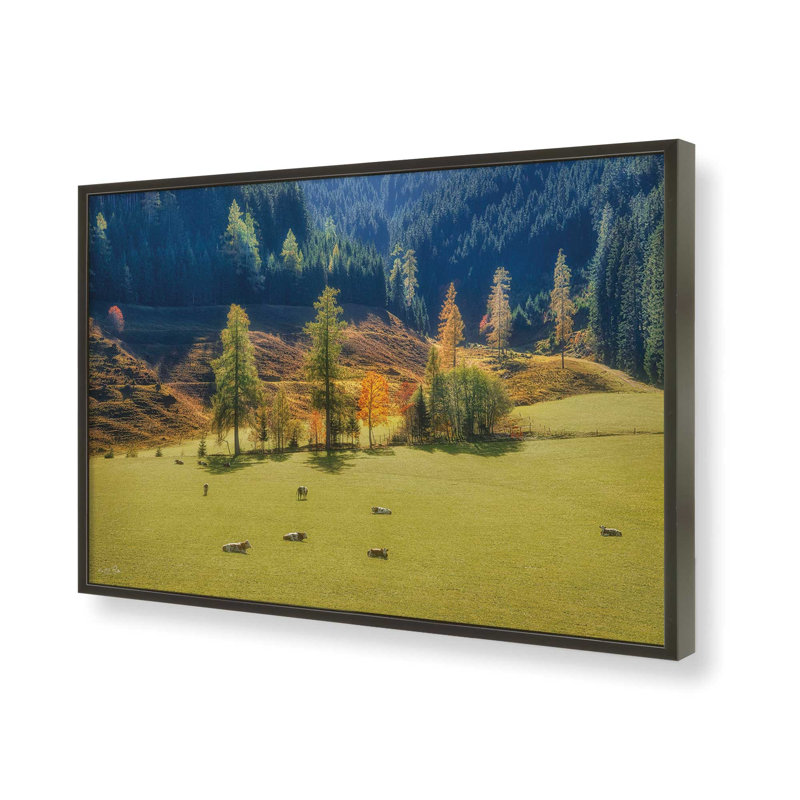«Peaceful Nature» par Martin Podt, reproduction d'art, Noir, L 12 po x H 8 po, Impression encadrée