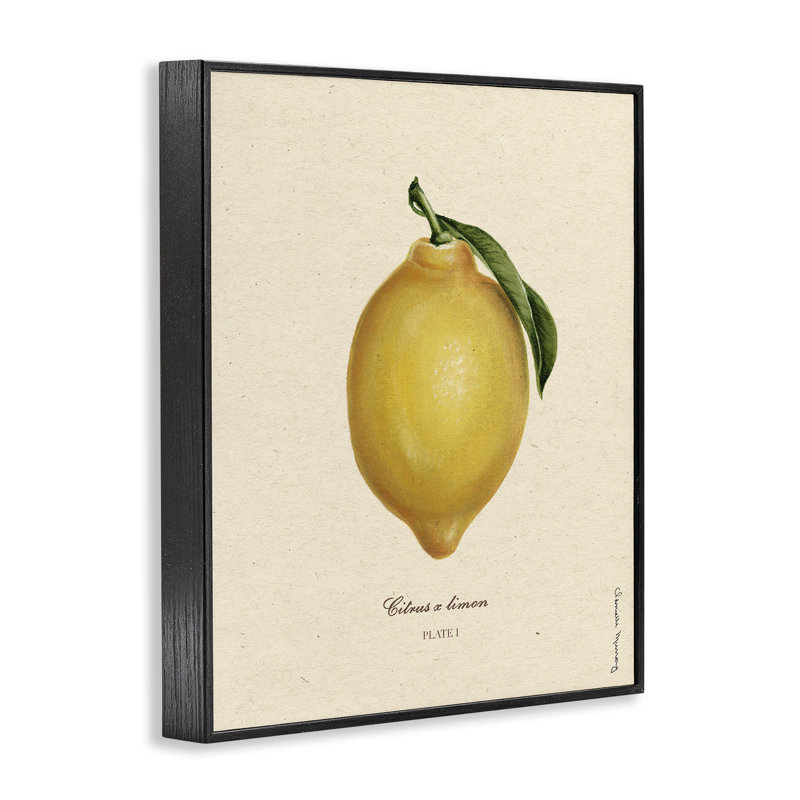 «Lemon Fruit Portrait», estampe numérique, design par Danielle Murray, Giclée encadrée noir minuit, H 30 po x l 24 po