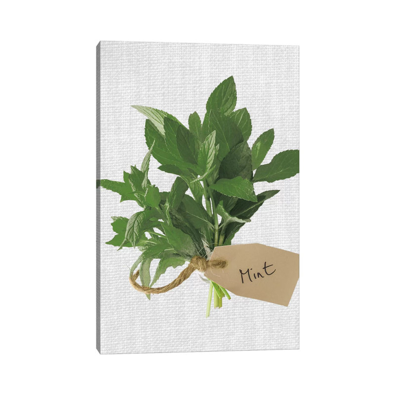 Mint by Assaf Frank - Wrapped Canvas Print, 20.32 cm H x 30.48 cm W x 1.91 cm D