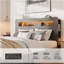 Cadre de lit grand, cadre de lit plateforme en bois avec tête de lit à DEL avec rangement et 2 ports USB, silencieux, aucun sommier nécessaire et outil d'assemblage facile, grand rangement sous le lit, gris foncé-1906745484-1906745485