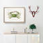 Green Crab by Charles d' Orbigny - Picture Frame Painting Print-55575280-55575282