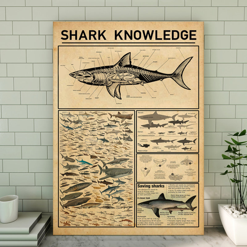 Toile tendue Shark