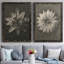 Toile encadrée Blossfeldt-2052834714-2052834717