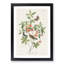 Warbler Bird & Butterflies by John Audubon - Picture Frame Painting Print-55605589-55605594