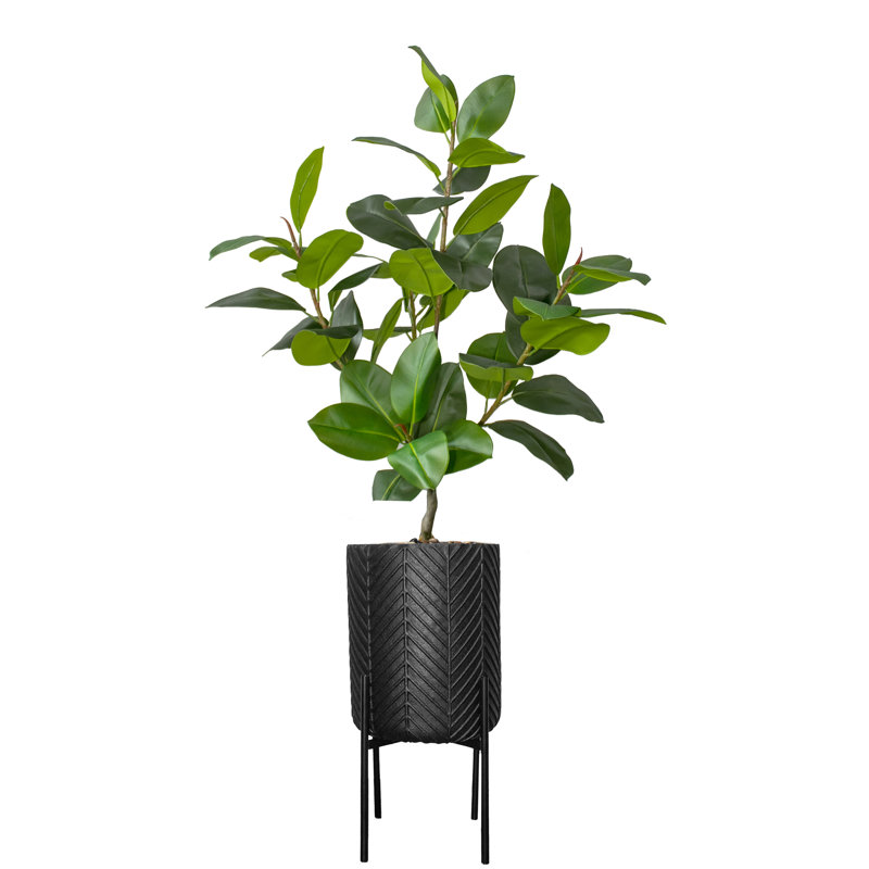 Horner 69.5'' Faux Rubber Tree in Planter