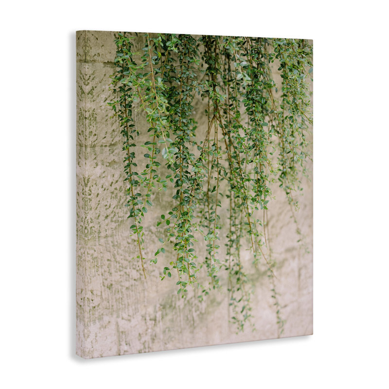 «Hanging Ivy Vines», art mural sur toile par Justine Milton, H 48 po x l 36 po