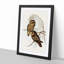 Spotted Owls by Elizabeth Gould - Picture Frame Painting Print-55619820-55619819