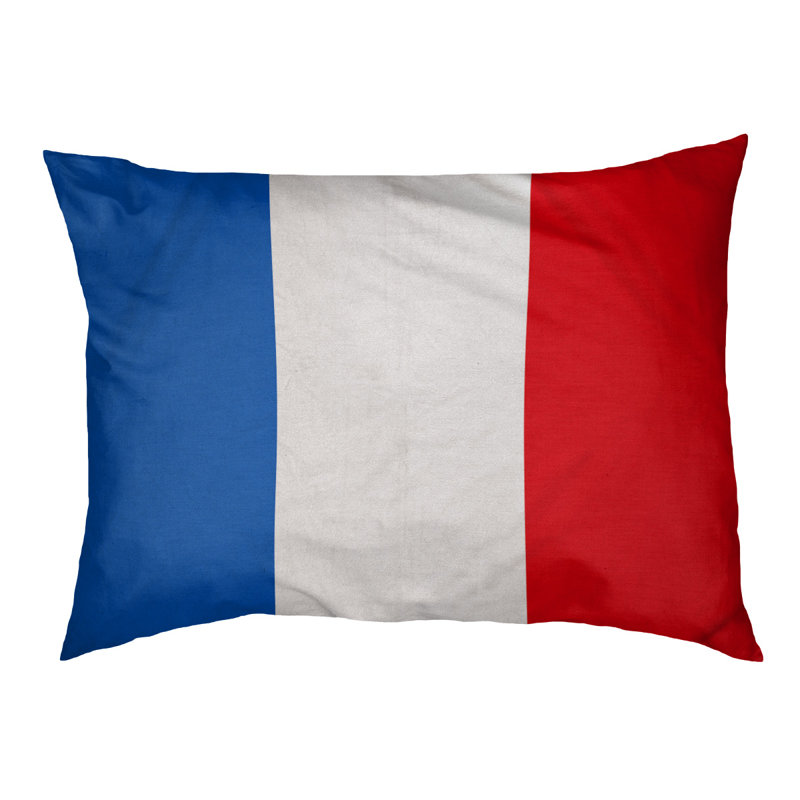Coussin pour chien Indiana, Très grand (l 50 po x P 40 po x H 7 po), Bleu / blanc / rouge