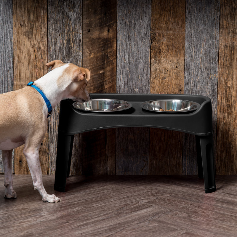 Black Adjustable Elevated Feeder with Stainless Steel Bowls