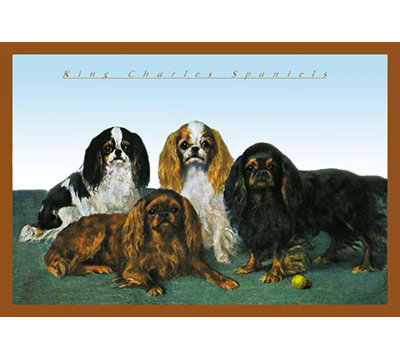 " King Charles Spaniels "