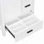 Meuble-lavabo de 24 po avec lavabo en céramique, porte à fermeture douce, tablette à double couche et 3 tiroirs-253450153