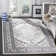 Olius Performance Oriental Rug
