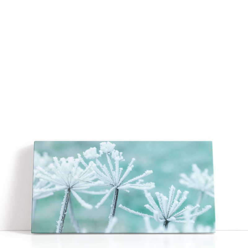 Frosty Cow Parsley - reproduction d'art sur toile, H 15 po x l 30 po