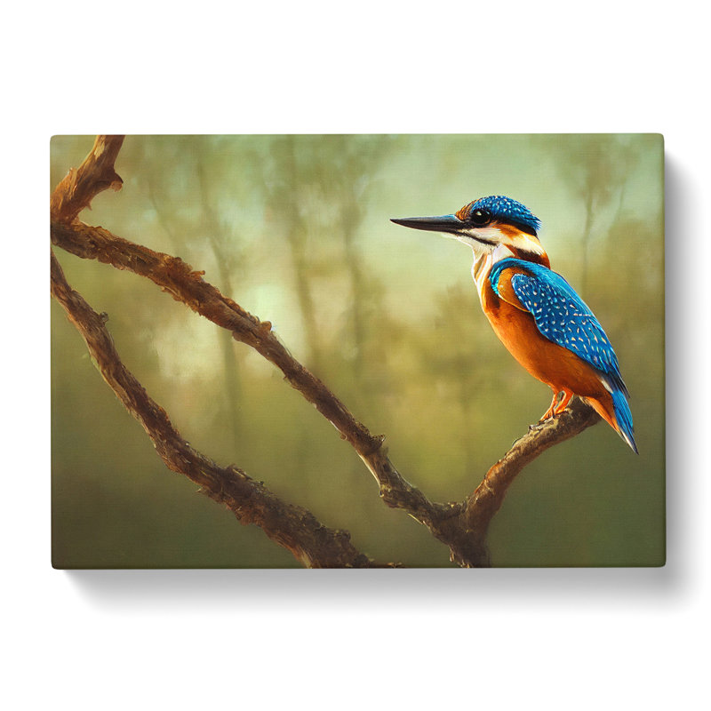 Enlightened Kingfisher Bird - Wrapped Canvas Print, 35cm H x 50cm W x 3cm D