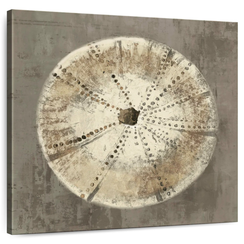 Brampt Sand Dollar I, H 16 po x l 16 po