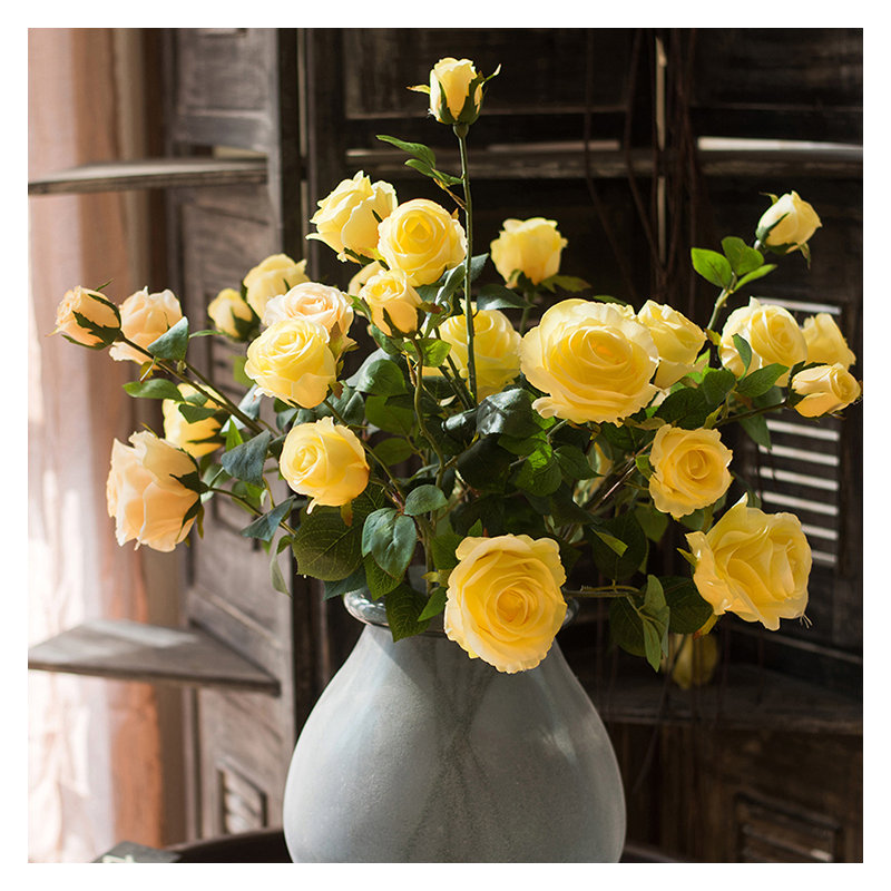 Tige de rose rustique, Jaune