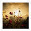 Toile d'extérieur Mur regardant 0 Christian Marcel-87945602