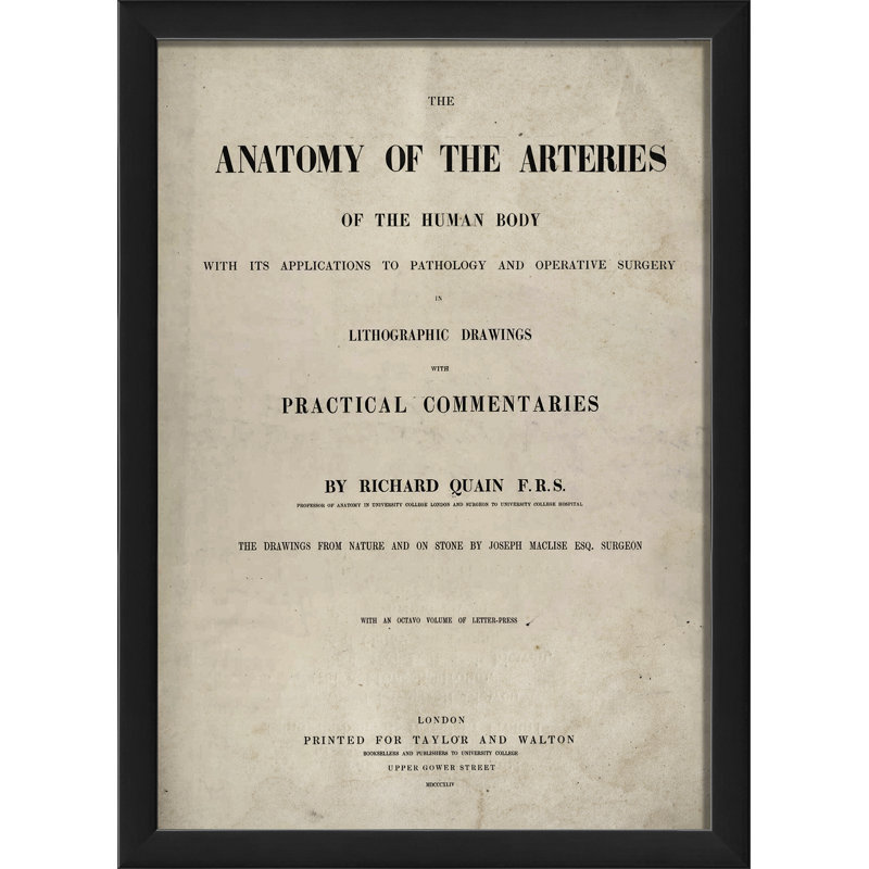 « anatomie of the arteries », art textuel encadré