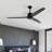 59.8'' Ceiling Fan