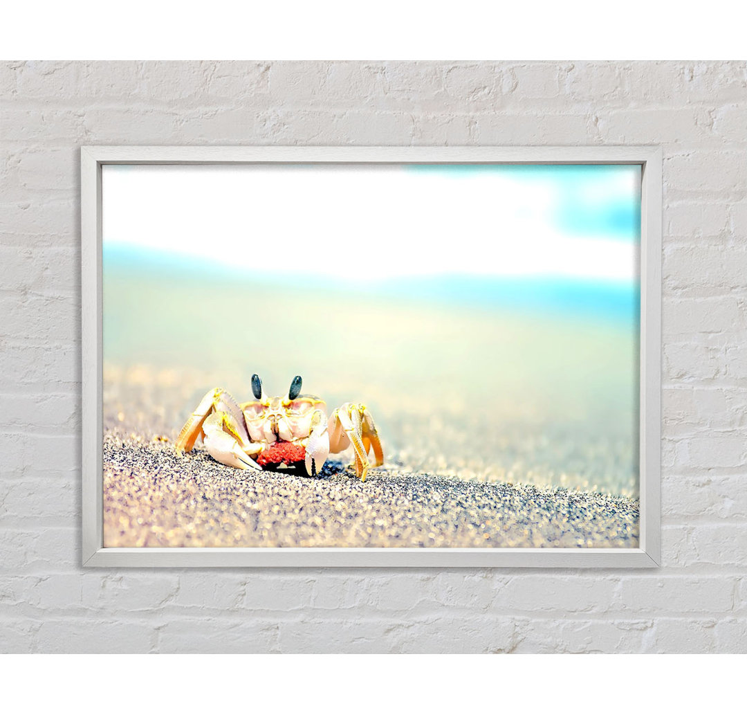 Gerahmtes Bild Lonely Crab