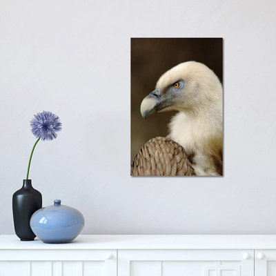 Griffon V by Goran Anastasovski - Wrapped Canvas Print