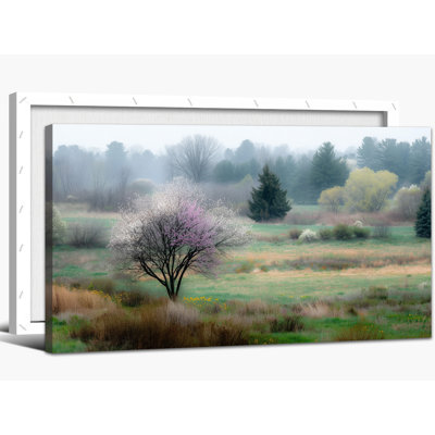  Toile de printemps, décoration murale, impressions de paysage rustique, paysage de forêt sereine, grand arbre horizontal, images de fleurs de cerisier pour le salon, 12 x 14 pouces