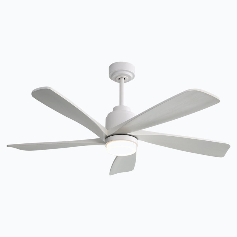 Ventilateur de plafond 52 pouces avec lumière DEL à intensité variable et 5 pales en bois massif, Blanc, Gris, 2