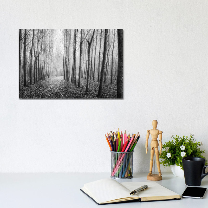 Autumn Mist by George Digalakis - Wrapped Canvas Print, 20.32cm H x 30.48cm W x 1.905cm D