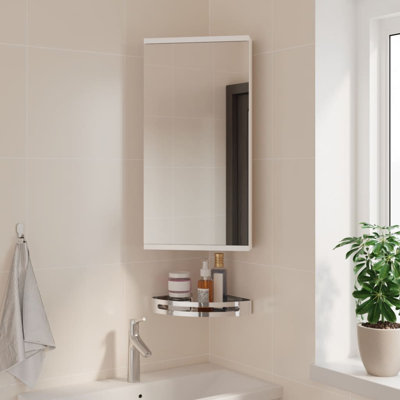 Aheed 299.97mm W 599.95mm H Wall Framed Medicine Cabinet Mirror