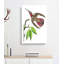 Purple-Tailed Hummingbird by George Shaw - Wrapped Canvas Painting-55330613