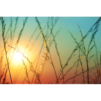 Summer Sunset