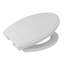 Lirico Elongated Toilet Seat