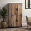 Armoire à chaussures 4 portes Windsor Modern and Contemporary Farmhouse