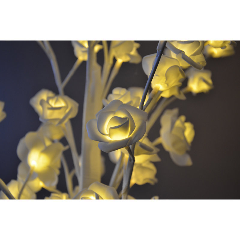 Arbre illuminé avec lumière blanche pré-éclairée