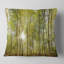 Vue panoramique de la forêt verte - coussin à imprimé paysage-53260432-53221901