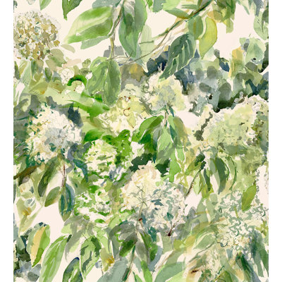 Hydrangea Garden