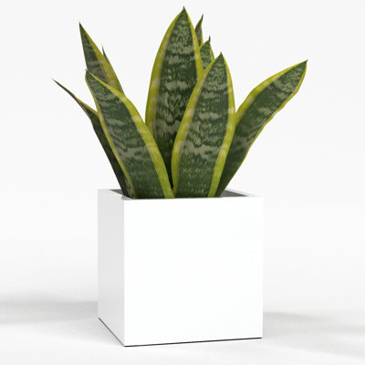 Greenline Fiberglass Jack Medium Indoor/Outdoor Square Cube Planter