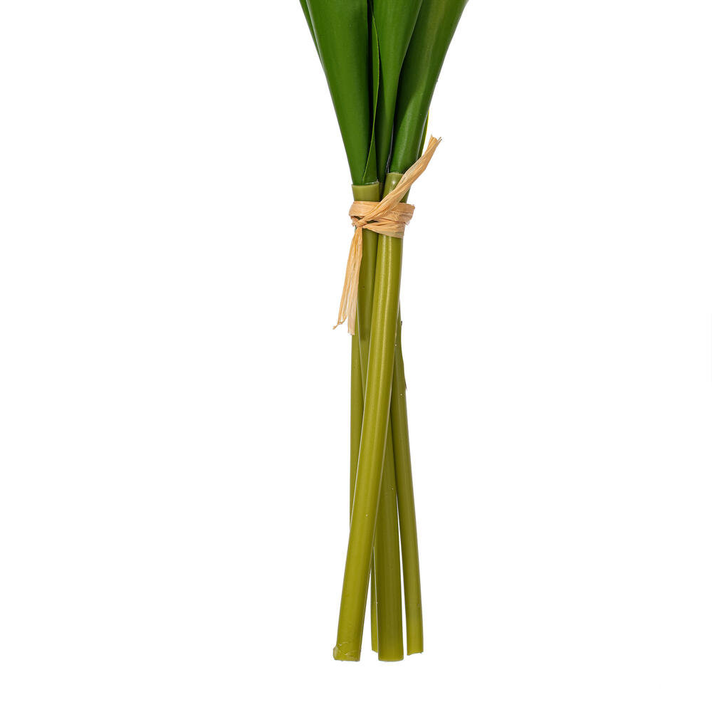 Jasiah Tulip Floral Stems, Pink