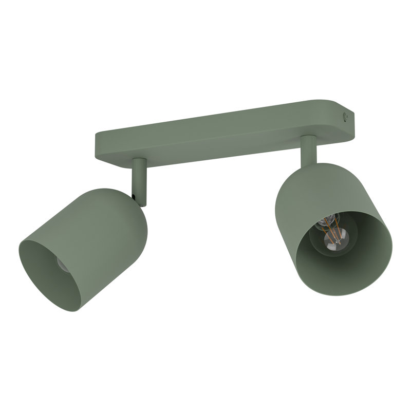 Tilston Steel Minimalist Ceiling Spotlight, 20.5cm H x 8cm W x 28cm D, 2, Green