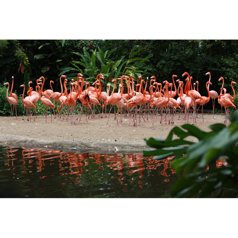Togetherness by Webphotographeer - No Frame Print on Canvas, 81cm H x 122cm W