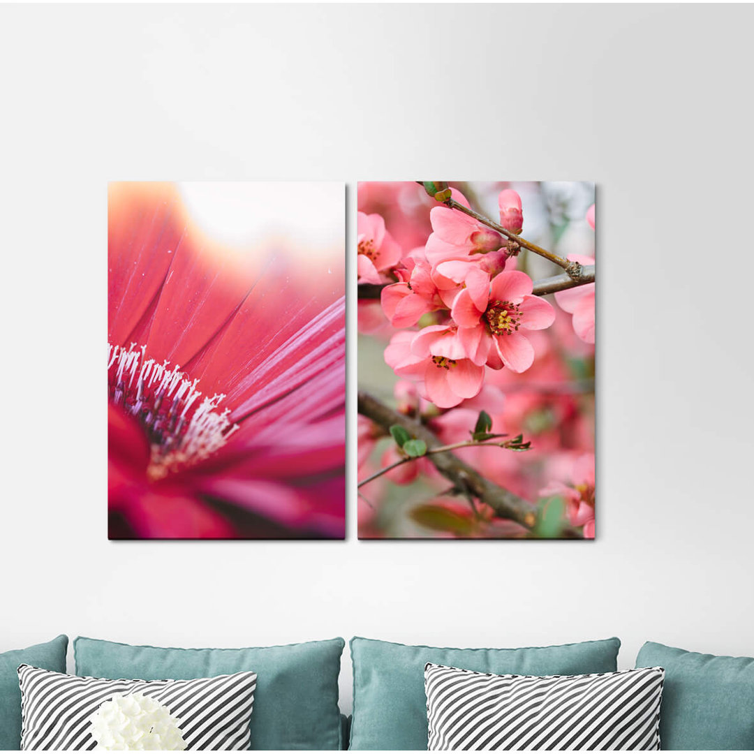 2-tlg. Leinwandbilder-Set - Fotografie „Blossoms Tree Blossoms Spring Nature Warm Light Tender”