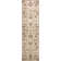 Benson Oriental Indoor Rug