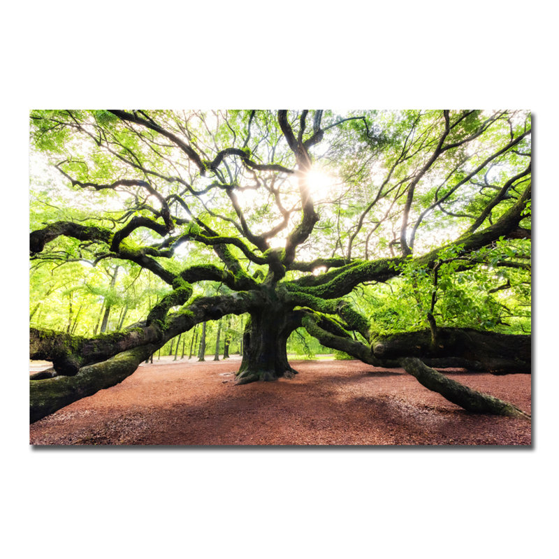 Tree Of Strength Print, 16" H x 20" W x 2.5" D