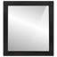 Elanora Solid Wood Wall Mirror