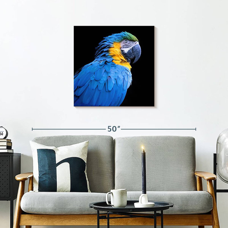 Brampt Neotropical Blue Macaw, 24'' H x 24'' W
